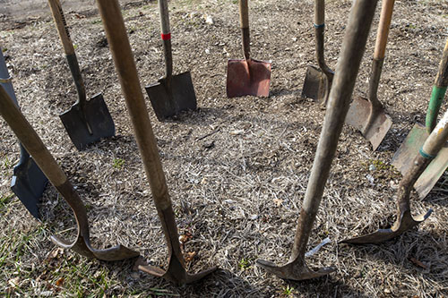 shovels_cropped Shovels in a circle stuck in the dirt